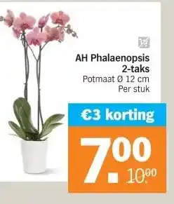 Albert Heijn AH Phalaenopsis 2-taks Potmaat aanbieding