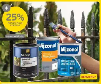 Praxis Op metaallakken aanbieding