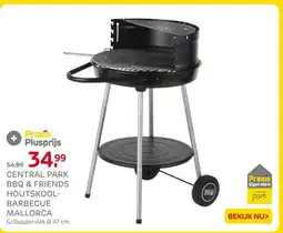 Praxis Central park bbq & friends houtskool barbecue mallorca aanbieding