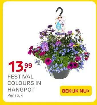 Praxis Festival colours in hangpot aanbieding