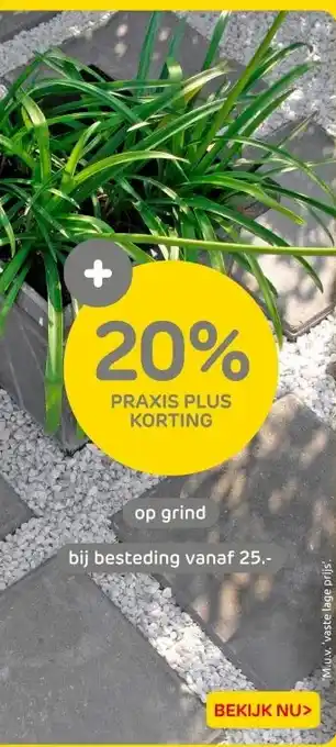 Praxis Op grind aanbieding