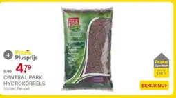 Praxis Central park hydrokorrels aanbieding