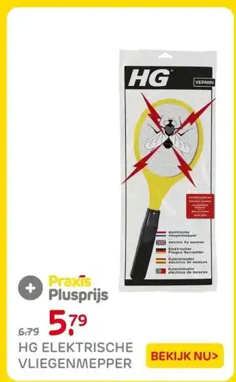Praxis HG elektrische vliegenmepper aanbieding