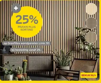 Praxis Op grosfillex wandpanelen linio 3D aanbieding