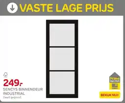 Praxis Sencys binnendeur industrial aanbieding