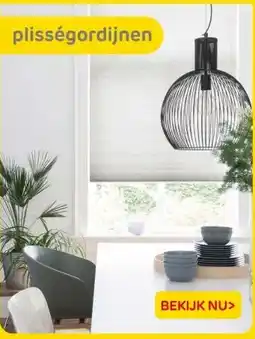 Praxis Plisségordijnen aanbieding
