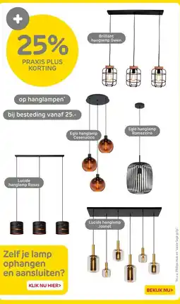 Praxis Op hanglampen aanbieding