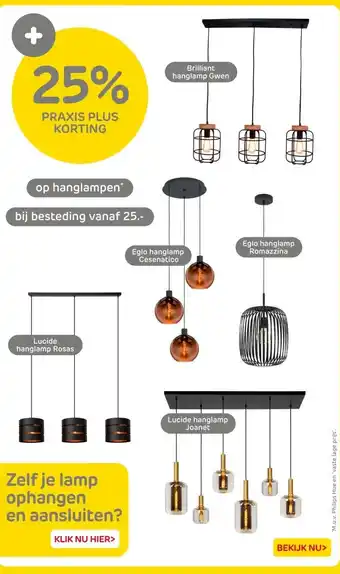 Praxis Op hanglampen aanbieding