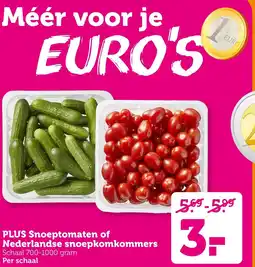 Coop Plus Snoeptomaten of Nederlandse snoepkomkommers aanbieding