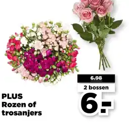 PLUS Plus Rozen of trosanjers aanbieding