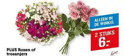 Coop Plus Rozen of trosanjers aanbieding