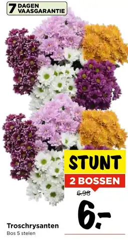 Vomar Voordeelmarkt Troschrysanten aanbieding
