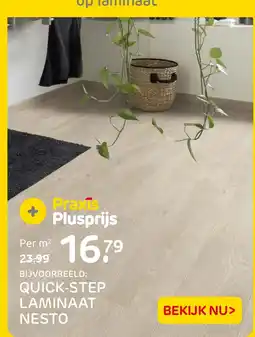 Praxis Quick step laminaat nesto aanbieding