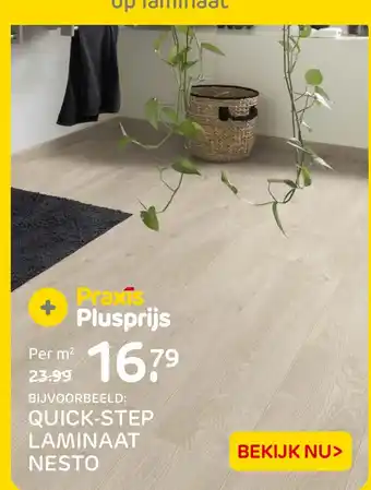 Praxis Quick step laminaat nesto aanbieding