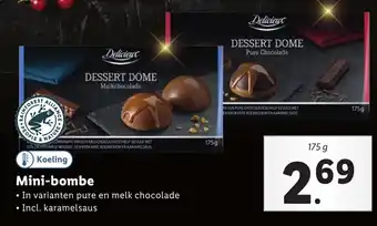 Lidl Delicieux Mini-bombe 175g aanbieding