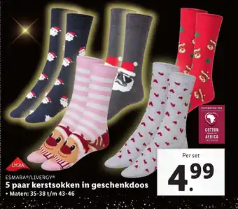 Lidl Esmara/Livergy Kerstsokken in geschenkdoos 5 paar aanbieding