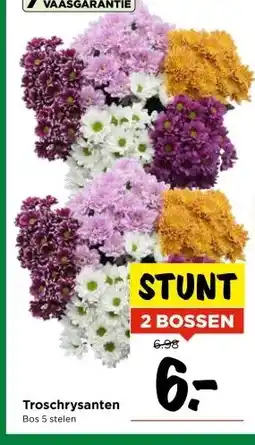 Vomar Voordeelmarkt Troschrysanten Bos 5 stelen aanbieding