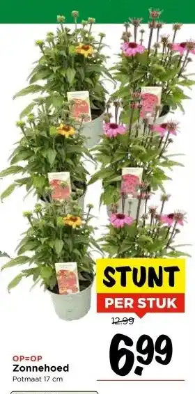 Vomar Voordeelmarkt OP=OP Zonnehoed aanbieding