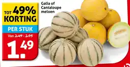 Hoogvliet Galia of Cantaloupe meloen aanbieding