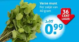 Hoogvliet Verse munt aanbieding