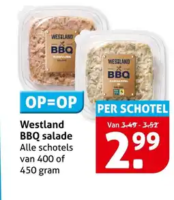 Hoogvliet Westland BBQ salade aanbieding