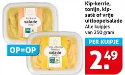 Hoogvliet Kip-kerrie, tonijn, kip saté of vrije uitloopeisalade aanbieding