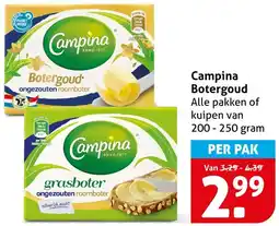 Hoogvliet Campina Botergoud aanbieding