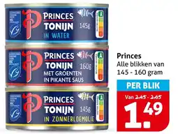 Hoogvliet Princes aanbieding