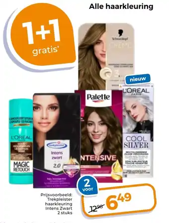 Trekpleister Alle haarkleuring aanbieding