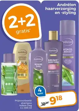Trekpleister Andrélon haarverzorging en styling aanbieding