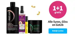 Plein.nl Alle Syoss, Gliss en Got2b aanbieding