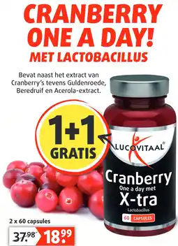 Lucovitaal CRANBERRY aanbieding