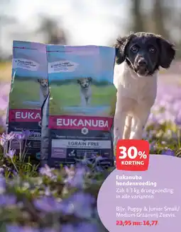 Maxi Zoo Eukanuba hondenvoeding aanbieding