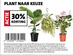 Intratuin PLANT NAAR KEUZE 30% aanbieding