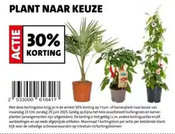 Intratuin PLANT NAAR KEUZE 30% KORTING aanbieding