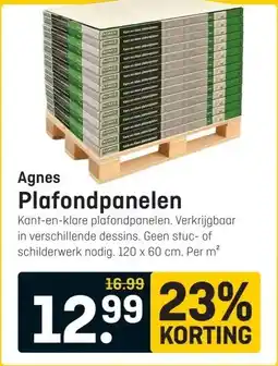 Hubo Agnes Plafondpanelen aanbieding