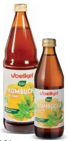 Ekoplaza KOMBUCHA aanbieding