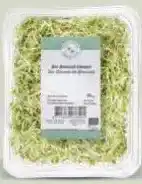 Ekoplaza KIEM BROCCOLI aanbieding