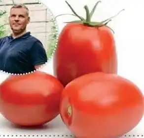 Ekoplaza ROMA TOMATEN aanbieding