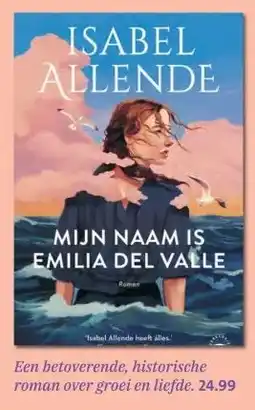 Bruna Een betoverende, historische roman over groei en liefde. aanbieding