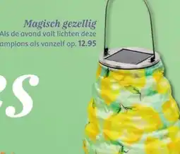 Bruna Magisch gezellig aanbieding