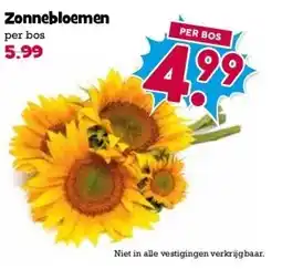 Boon`s Markt Zonnebloemen per bos aanbieding