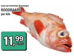 Amazing Oriëntal Land van herkomst: Noorwegen ROODBAARS aanbieding