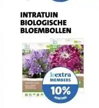 Intratuin INTRATUIN BLOEMBOLLEN aanbieding