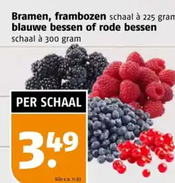 Poiesz Bramen, frambozen , blauwe bessen of rode bessen aanbieding