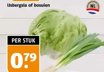 Poiesz IJsbergsla of bosuien aanbieding