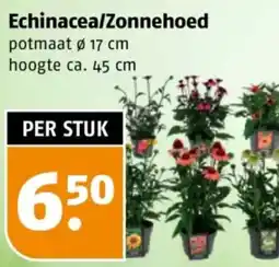 Poiesz Echinacea/Zonnehoed aanbieding