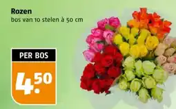 Poiesz Rozen aanbieding