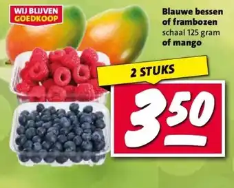 Nettorama Blauwe bessen, frambozen of mango aanbieding
