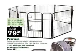 Discus Puppyren aanbieding